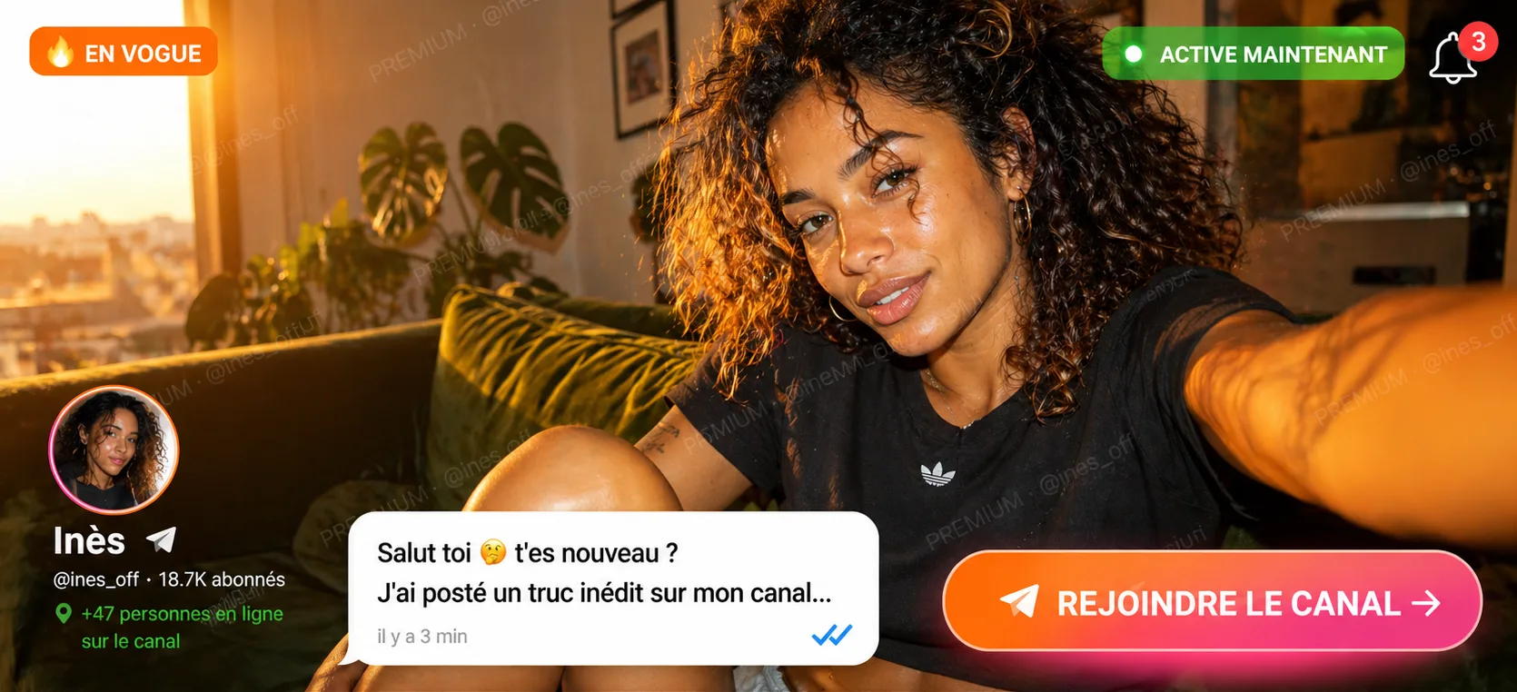 Rejoins notre Telegram